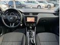 SKODA OCTAVIA 2019/2 - 8