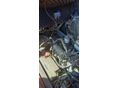 AUSA 2019 - 9