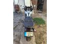 HONDA CBF 600 2006/2 - 4