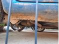 MAZDA DEMIO 2000/3 - 6