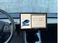 TESLA MODEL 3 2020/12 - 19