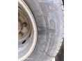 IVECO 2005/5 - 6