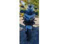 KAWASAKI VERSYS 650 2025/9 - 6