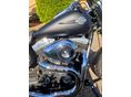 HARLEY-DAVIDSON FAT BOB 2012/7 - 5