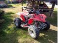 HONDA TRX 250 EX 2005 - 1