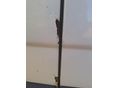 RENAULT TRAFIC 2007/10 - 8