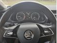 SKODA OCTAVIA 2023/8 - 16