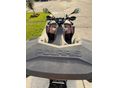 POLARIS SPORTSMAN XP 1000 2019/2 - 8
