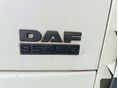 DAF 2005 - 5