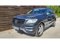 MERCEDES-BENZ ML 250 2013/2 - 1