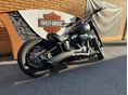 HARLEY-DAVIDSON SOFTAIL 2016/5 - 3