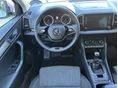 SKODA KAROQ 2022/3 - 5