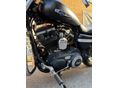 HARLEY-DAVIDSON SPORTSTER 1200 CUSTOM 2017/1 - 7