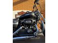 HARLEY-DAVIDSON SPORTSTER 1200 CUSTOM 2017/1 - 8
