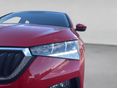 SKODA SCALA 2020/10 - 11