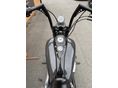 HARLEY-DAVIDSON DYNA 2006/2 - 9