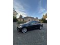 TESLA MODEL X 2017/6 - 3