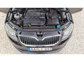 SKODA OCTAVIA 2014/5 - 10