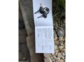 BENELLI TRK 502 X 2024 - 9