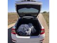 SKODA OCTAVIA 2016/11 - 4