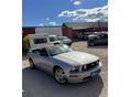 FORD MUSTANG 2005/4 - 2