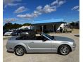 FORD MUSTANG 2005/4 - 9
