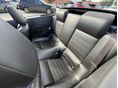 FORD MUSTANG 2005/4 - 19