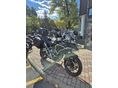 TRIUMPH TIGER 1200 2024/4 - 3
