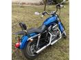 HARLEY-DAVIDSON SPORTSTER CUSTOM 53 2005/9 - 3
