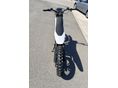 Y-VOLT SURGE V 2026/6 - 6