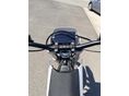 Y-VOLT SURGE V 2026/6 - 14