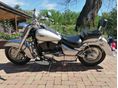 SUZUKI VL 1500 (INTRUDER) 2008/8 - 5
