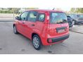 FIAT PANDA 2021/8 - 3