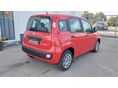FIAT PANDA 2021/8 - 4
