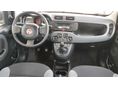 FIAT PANDA 2021/8 - 11
