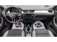 SKODA RAPID 2019/6 - 9