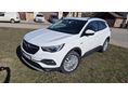 OPEL GRANDLAND X 2018/10 - 1
