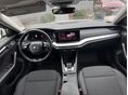 SKODA OCTAVIA 2022/2 - 10