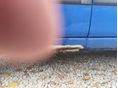 FIAT PANDA 2003/2 - 5