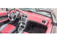 PEUGEOT 307 2004/6 - 6