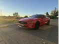 FORD MUSTANG 2019 - 4