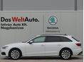 AUDI A4 2023/2 - 3