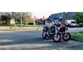 DUCATI MONSTER 620 I.E. 2004 - 6