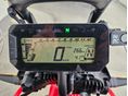 HONDA CRF 300 RALLY 2025 - 5
