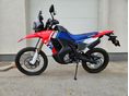 HONDA CRF 300 RALLY 2025 - 2