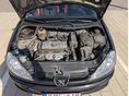 PEUGEOT 206 2006/12 - 9