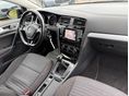VOLKSWAGEN GOLF VII 2015/2 - 8