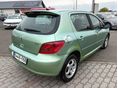 PEUGEOT 307 2001/10 - 7