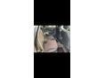 NISSAN NOTE 2012/12 - 8