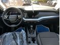 SKODA OCTAVIA 2026/10 - 4